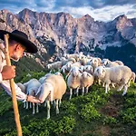 Tourist Farm Senkova Domacija *