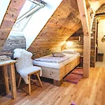 Farm stay Tourist Farm Senkova Domacija Zgornje Jezersko