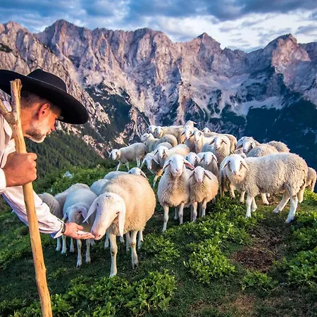 Tourist Farm Senkova Domacija *