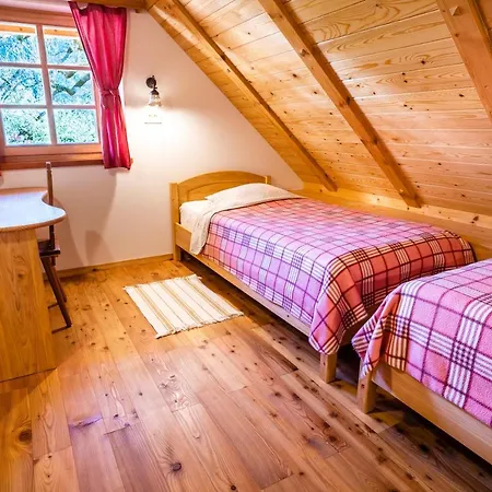 Tourist Farm Senkova Domacija Bauernhof