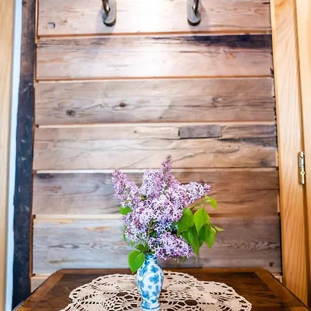 Tourist Farm Senkova Domacija