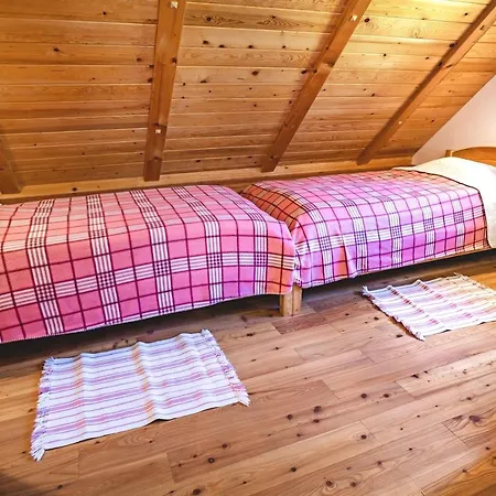 ファームステイ Tourist Farm Senkova Domacija *