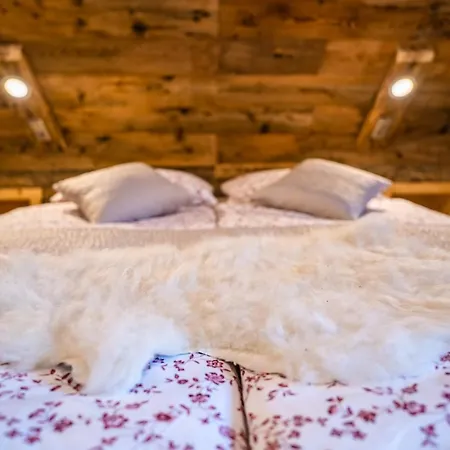 Tourist Farm Senkova Domacija ファームステイ ゴレンスカ地方