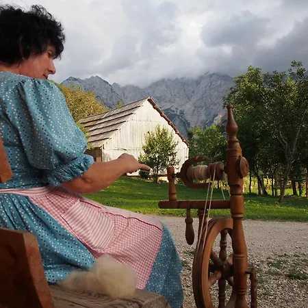 Tourist Farm Senkova Domacija ファームステイ *