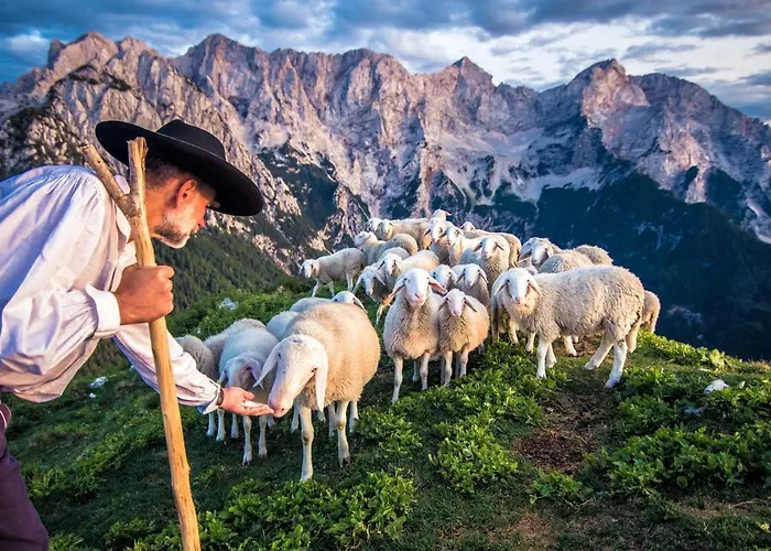 Tourist Farm Senkova Domacija *