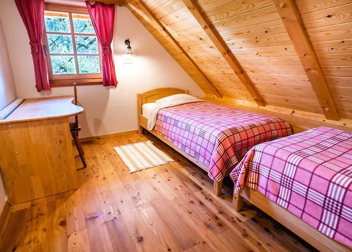 Tourist Farm Senkova Domacija Farm stay