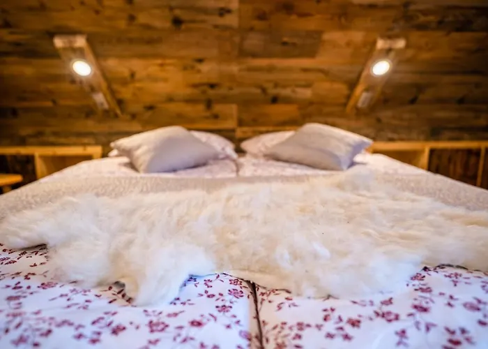 Tourist Farm Senkova Domacija Farm stay Zgornje Jezersko