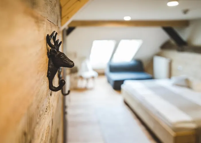 Farm stay Tourist Farm Senkova Domacija