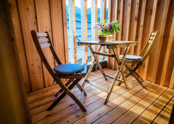 Tourist Farm Senkova Domacija Farm stay *