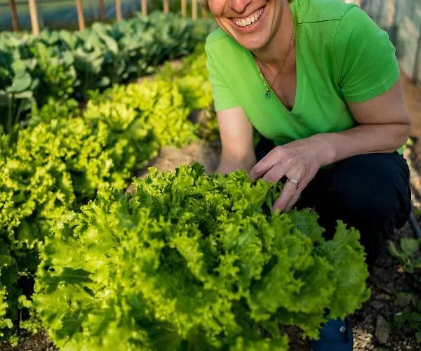 Tourist Farm Senkova Domacija مزرعة للإقامة زغورنجي جيزرسكو