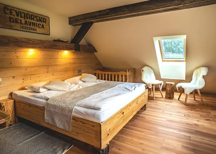 Tourist Farm Senkova Domacija Farm stay *