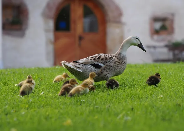 Tourist Farm Senkova Domacija Zgornje Jezersko