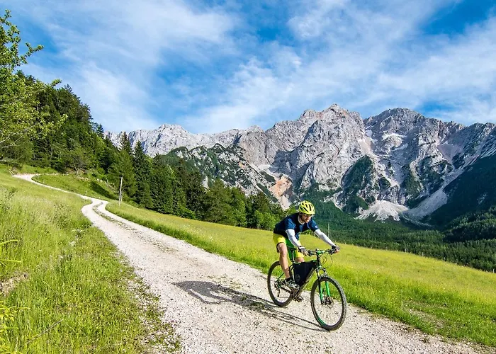 Farm stay Tourist Farm Senkova Domacija *