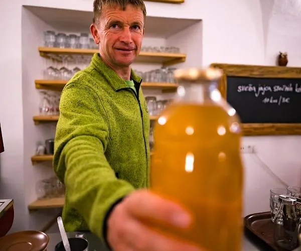 Farm stay Tourist Farm Senkova Domacija *