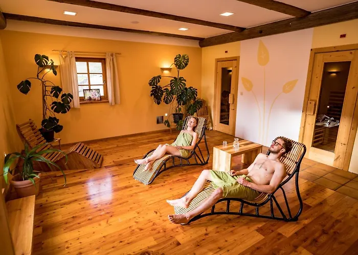 Farm stay Tourist Farm Senkova Domacija