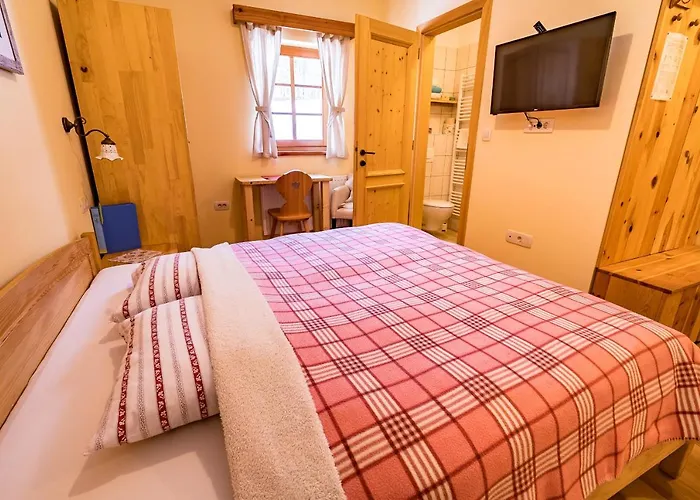 Farm stay Tourist Farm Senkova Domacija *