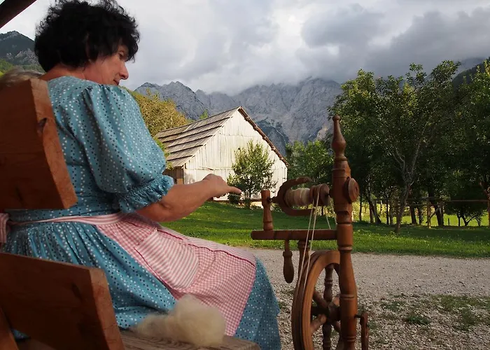 Tourist Farm Senkova Domacija Farm stay *